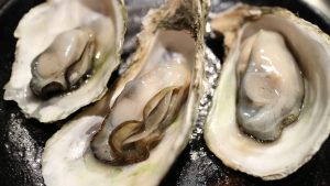 Oysters in Wakefield, RI